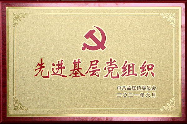 *基層黨組織 *基層黨組織